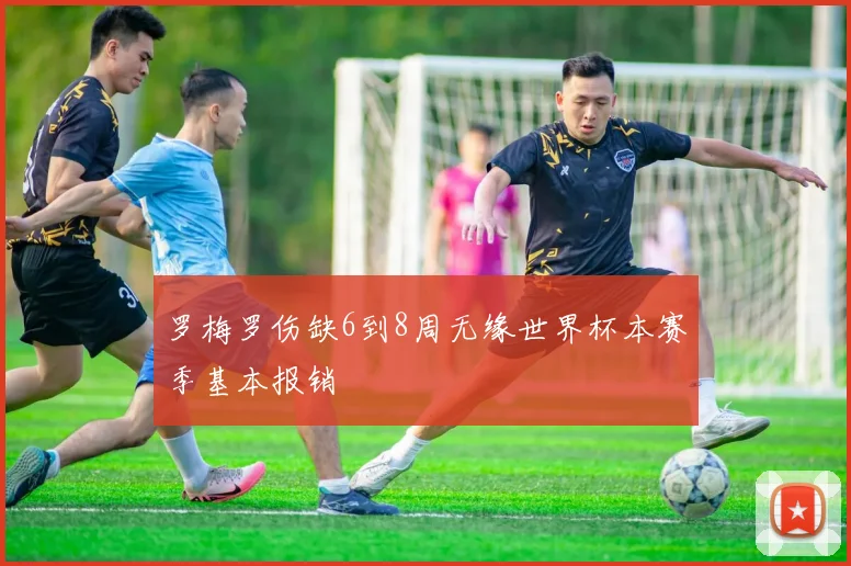 罗梅罗伤缺6到8周无缘世界杯本赛季基本报销